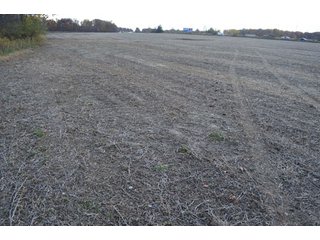 Property photo 47 - 127 Acres Offered in 8 Tracts - Allen & Dekalb County Land